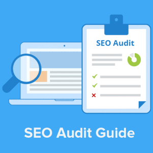 30 Point Technical Audit. Includes Audit Reports, Action Plan, And Summary
