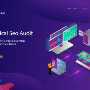 SEO Triage. Audit And Advanced On-Page/Site Optimization.